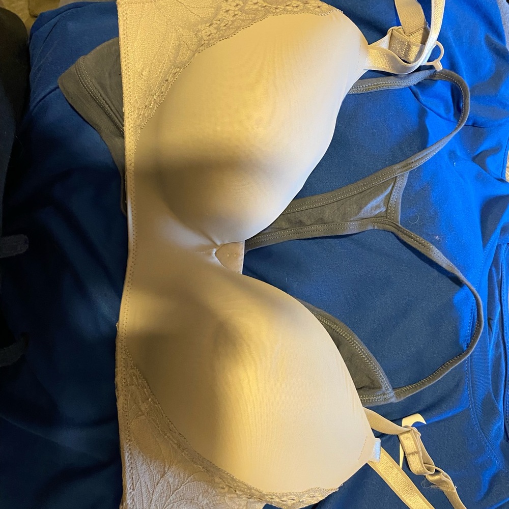 grey bra